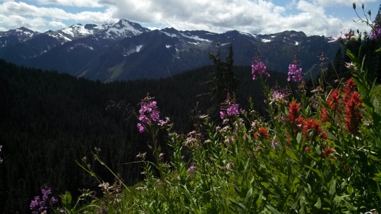 Glacier Peak Wilderness Area in Washington State